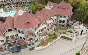 The Castle At Swan Lake